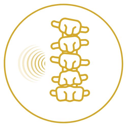 Icono de prevención de lesiones de columna